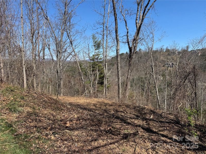 Natural landscape and outdoor views near  in Asheville (Image 6).