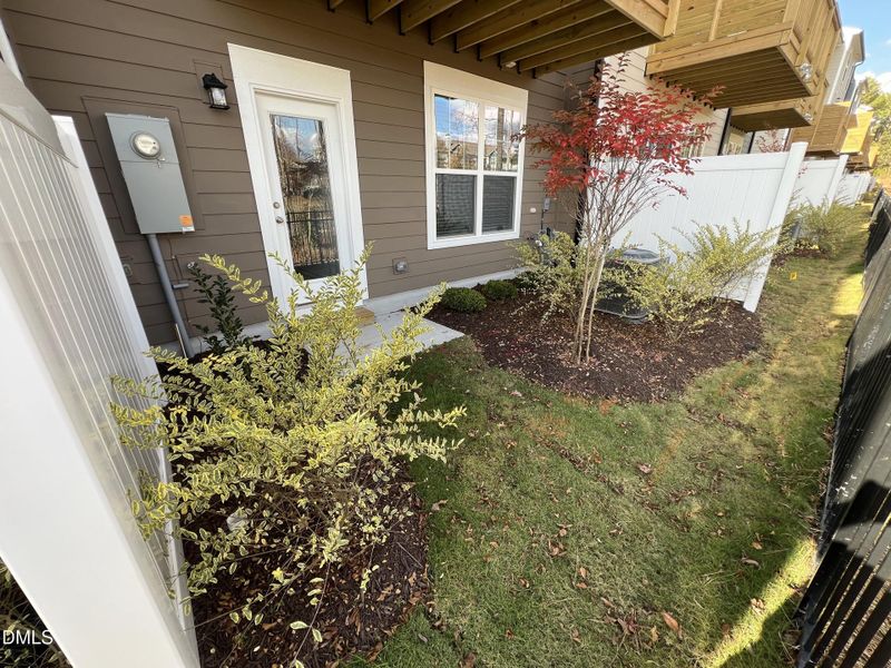 Backyard 16 Backyard 16