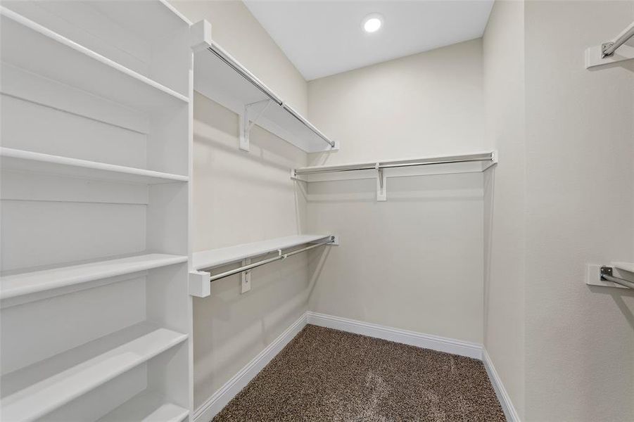 Walk in closet featuring carpet flooring