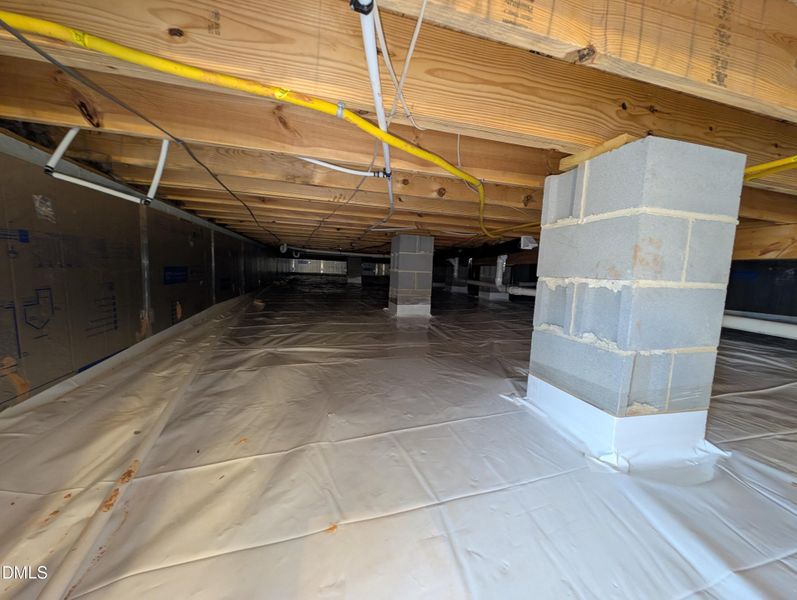 PXL_20251120_143422174 PXL_20251120_143422174