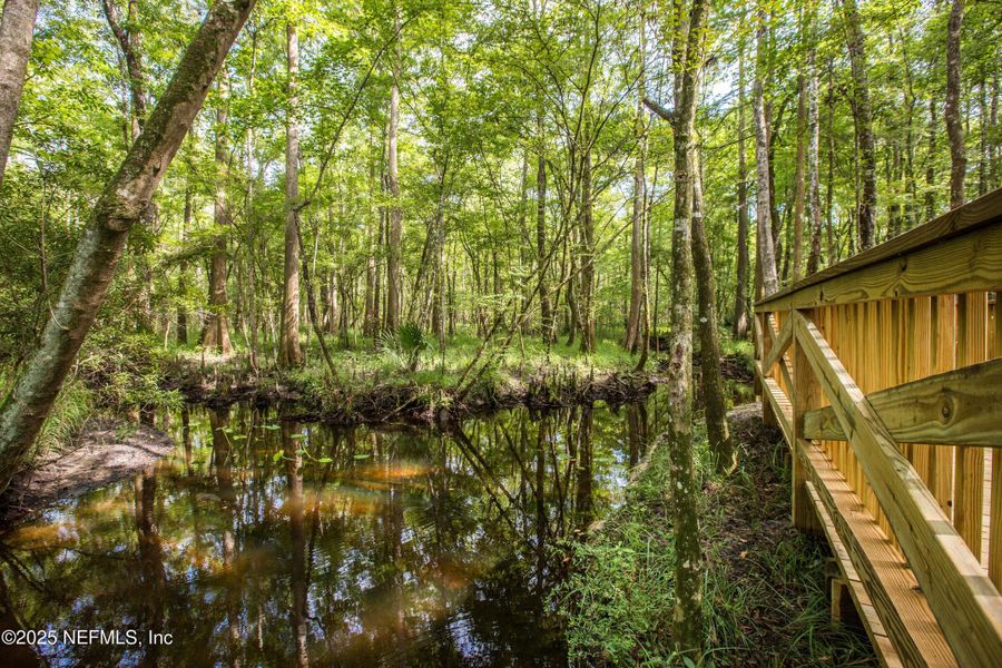 Natural landscape and outdoor views near Shearwater in St. Augustine (Image 68).