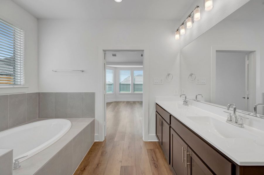 Owner's Bathroom