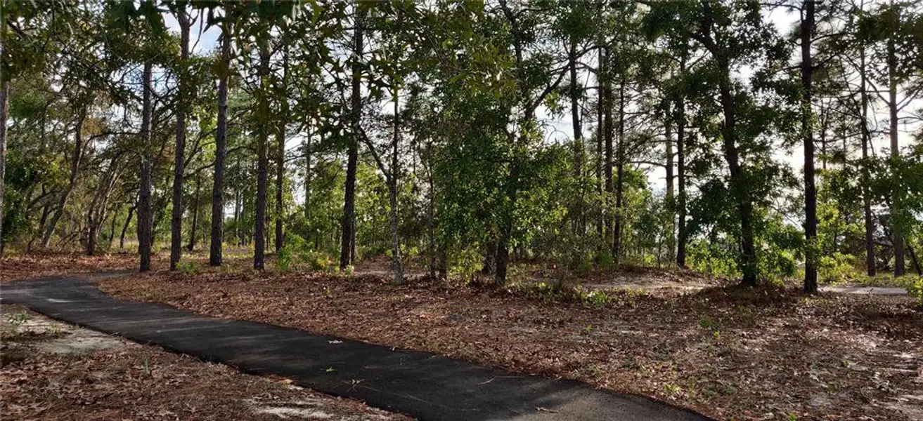 Natural landscape and outdoor views near Sunset Landing in Spring Hill (Image 13).