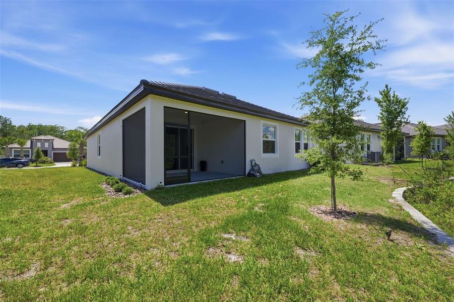 Exterior details and patio area of a home in Angeline Active Adult, Land O' Lakes (Image 26).