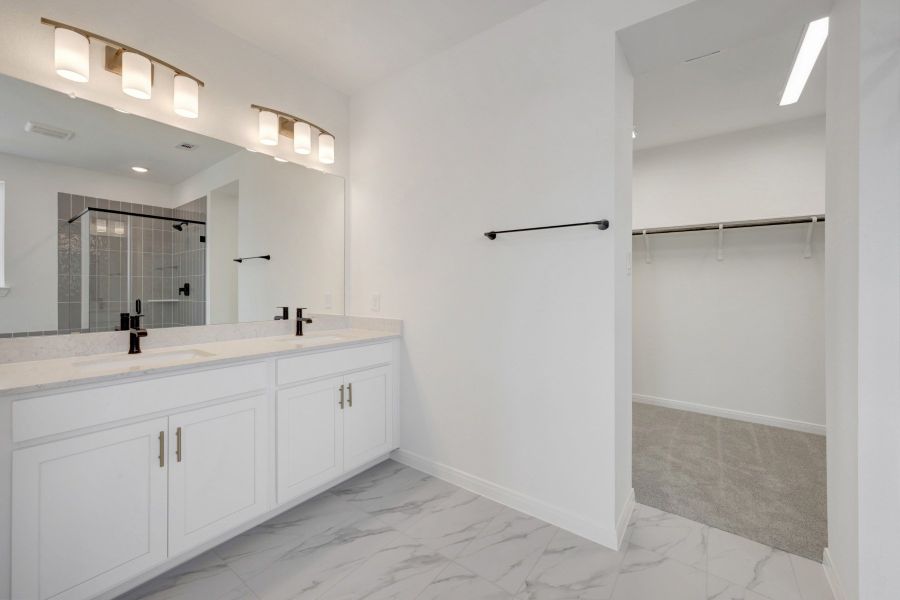 Owner's Bath