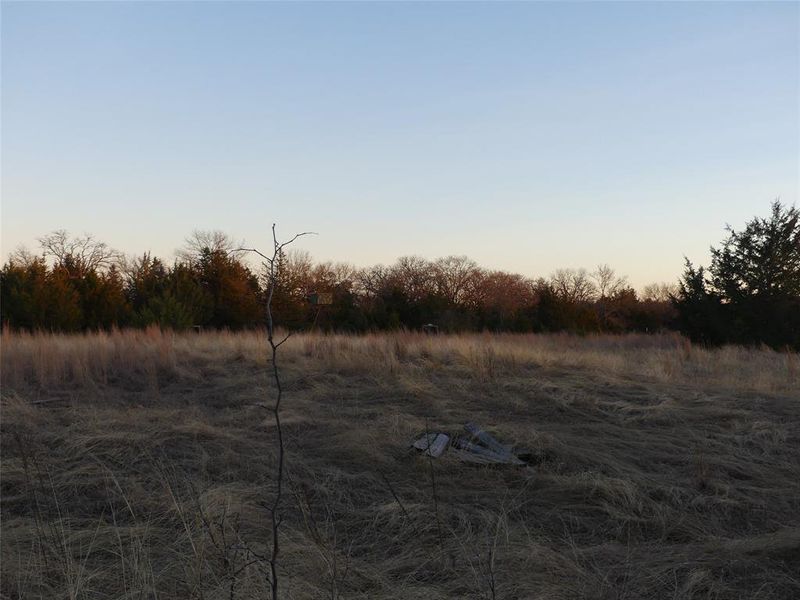 Natural landscape and outdoor views near  in Forestburg (Image 23).