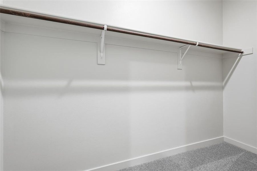 Spacious closet featuring a wood-finish hanging rod, white shelving, white walls, white baseboards, and grey carpet flooring