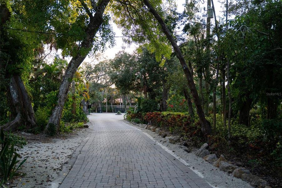 Natural landscape and outdoor views near  in Sarasota (Image 20).