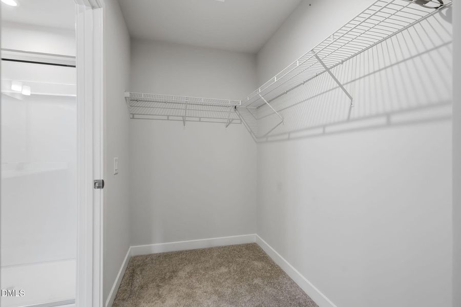 48-web-or-mls-DSC03375