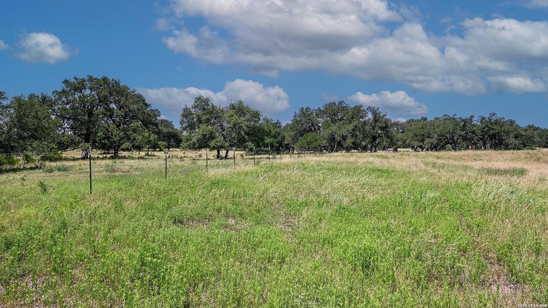 Natural landscape and outdoor views near The Preserve at Elm Creek in New Braunfels (Image 6). Natural landscape and outdoor views near The Preserve at Elm Creek in New Braunfels (Image 6).