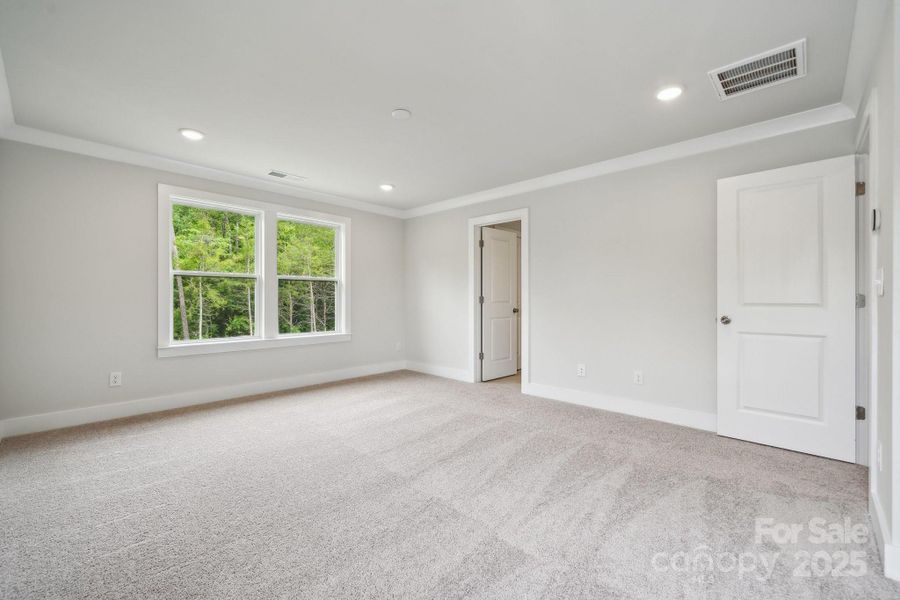 Representative picture