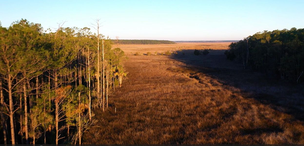 Natural landscape and outdoor views near Paradise Island in Awendaw (Image 55).