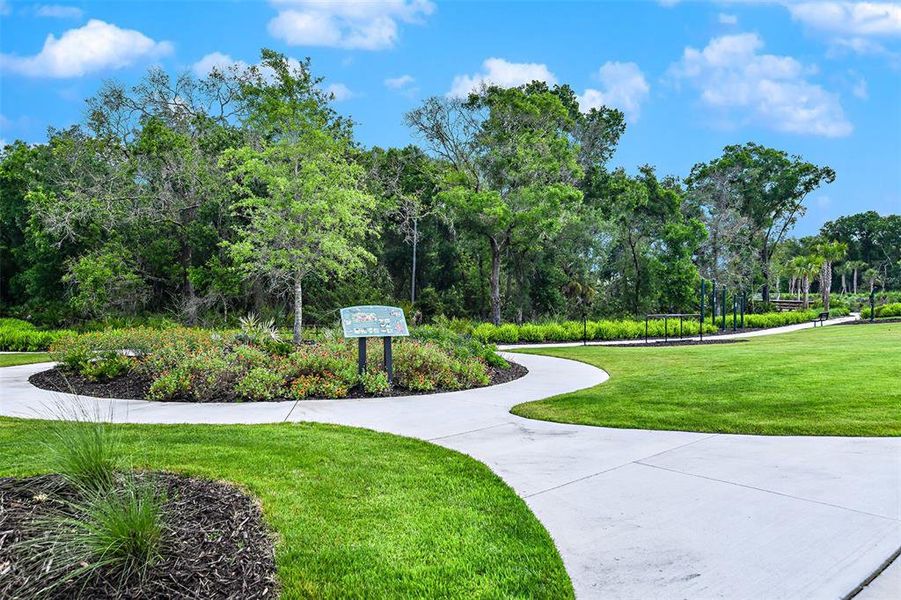 Image 67 of a home in Esplanade at Azario Lakewood Ranch. Image 67 of a home in Esplanade at Azario Lakewood Ranch.