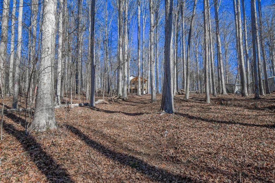 Natural landscape and outdoor views near  in Commerce (Image 33).