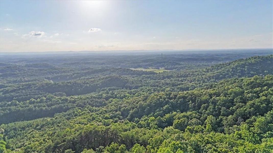 Natural landscape and outdoor views near  in Ranger (Image 58).