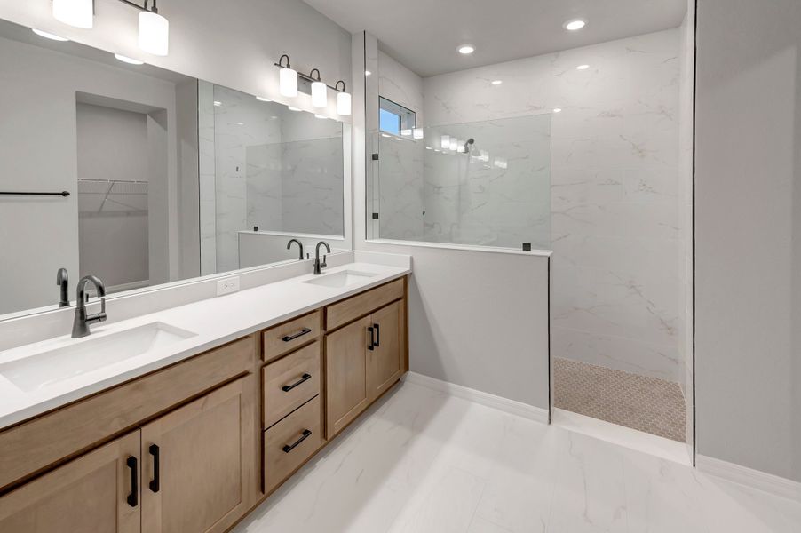 Owner's Bath