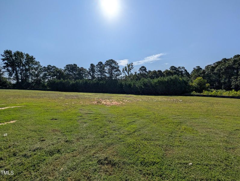 PXL_20250724_134210647