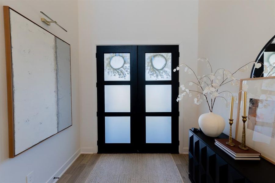 DOUBLE modern front doors