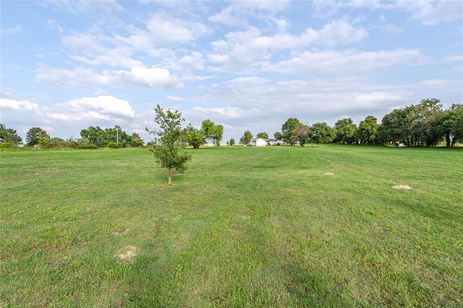 Natural landscape and outdoor views near  in Bowie (Image 15).
