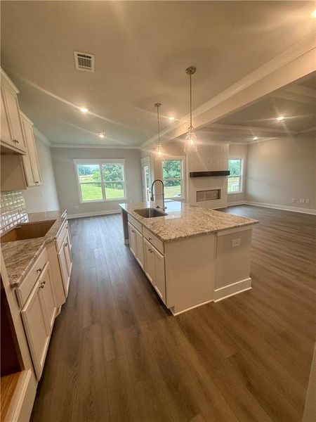 Furnished interior view inside a new home in Fowler Farms, Auburn (Image 6).