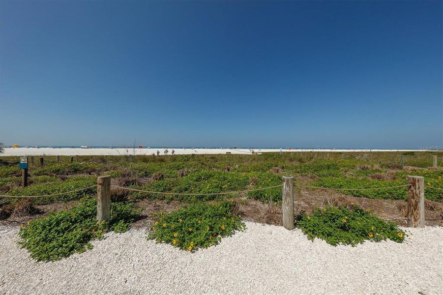 Natural landscape and outdoor views near Palmero in Nokomis (Image 50).