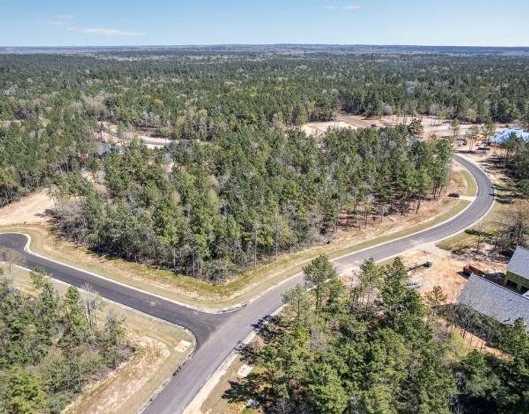 Aerial view of neighborhood