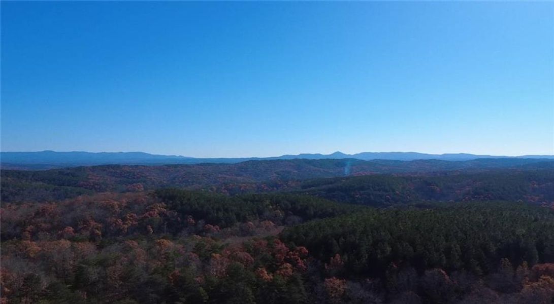 Natural landscape and outdoor views near  in Ranger (Image 6).