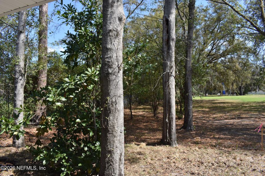 Natural landscape and outdoor views near Irongate Villas in Jacksonville (Image 33).