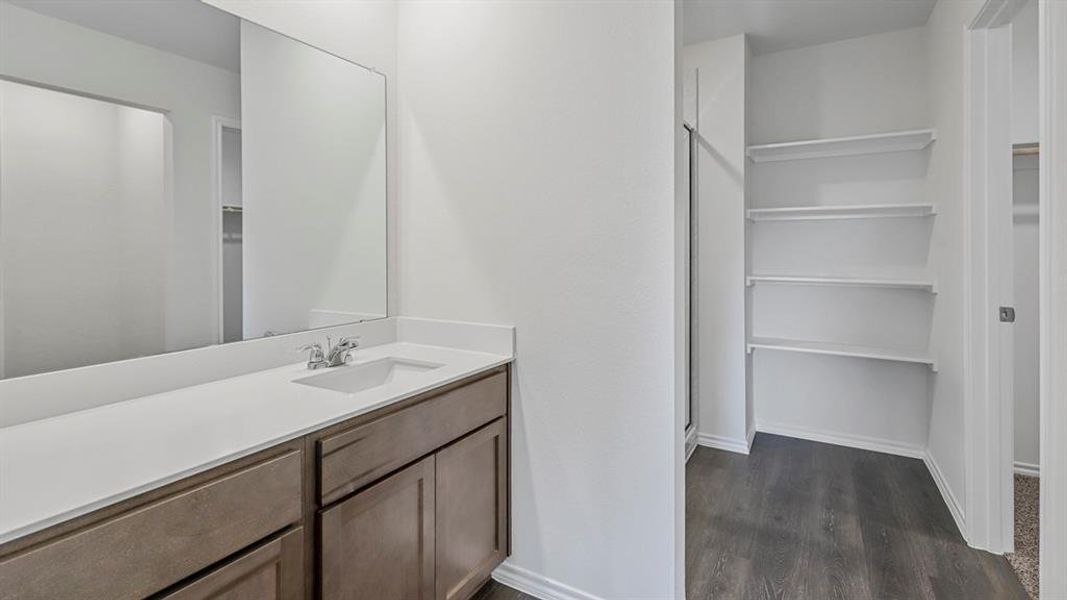 Bathroom featuring a walk in closet, vanity, dark wood-style flooring, and a shower stall Bathroom featuring a walk in closet, vanity, dark wood-style flooring, and a shower stall