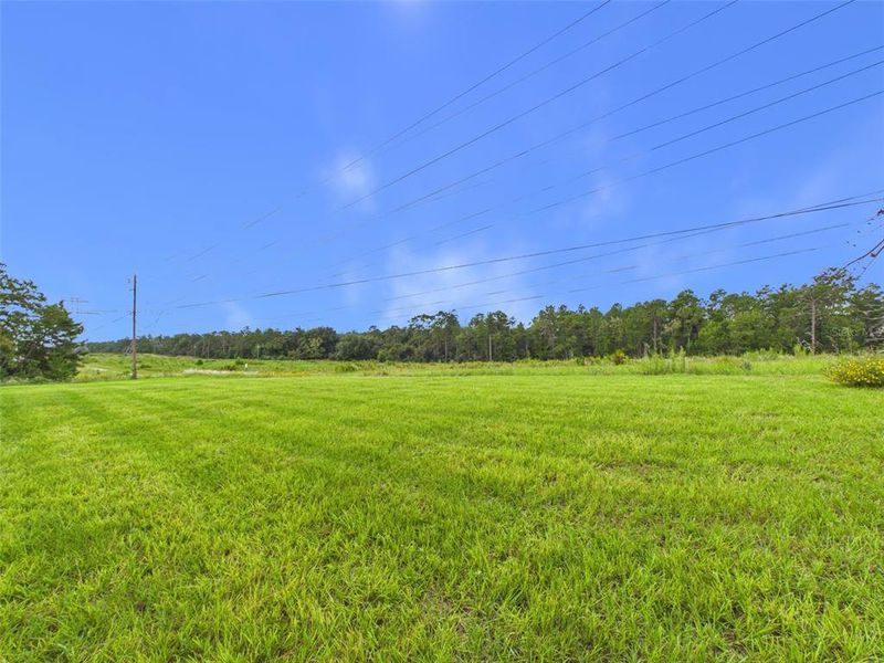 Natural landscape and outdoor views near  in Ocala (Image 20).