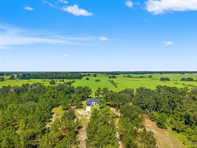 Natural landscape and outdoor views near  in Lecanto (Image 54).