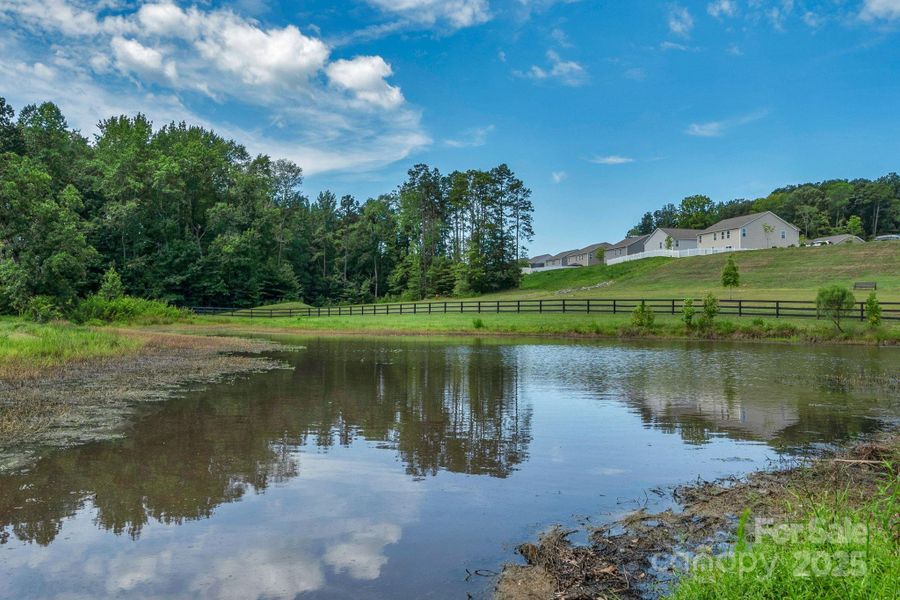 Community Pond Community Pond