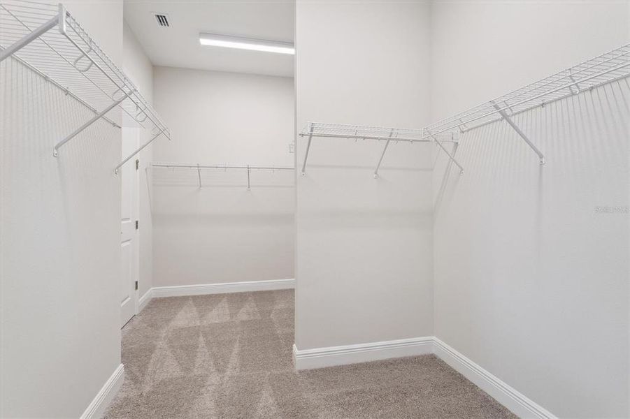 Spacious, unfurnished interior of a new home in Triple Creek, Riverview (Image 18).