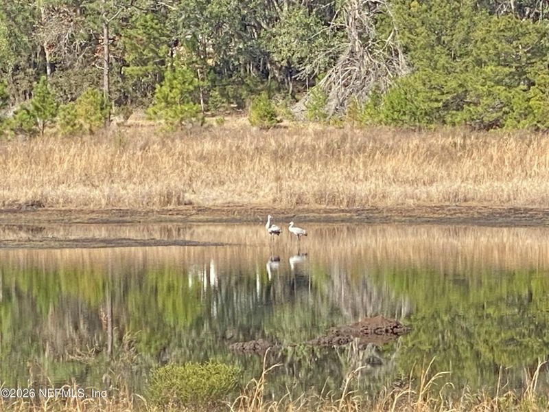 Natural landscape and outdoor views near  in Hawthorne (Image 33).