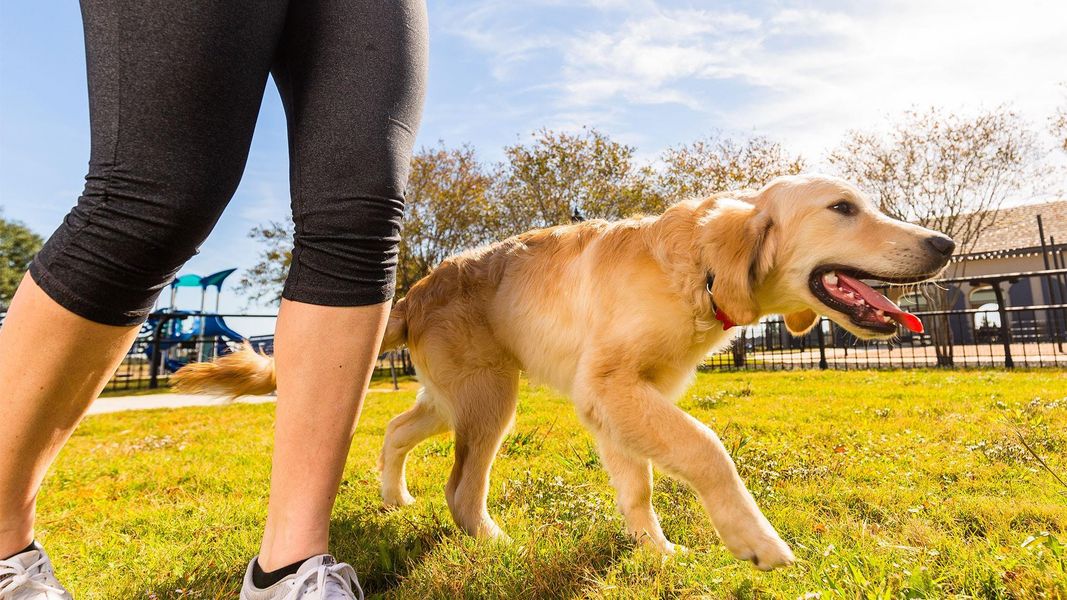 Image 9 of a home in Amira 45'. Image 9 of a home in Amira 45'.