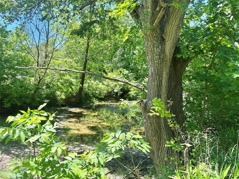 Natural landscape and outdoor views near  in Gainesville (Image 8).