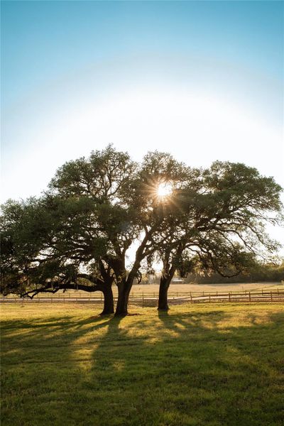 Enjoy the beauty of Texas countryside while being close to the shops and restaurants of Round Top. Enjoy the beauty of Texas countryside while being close to the shops and restaurants of Round Top.