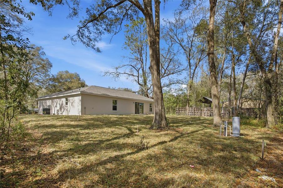 Natural landscape and outdoor views near  in Summerfield (Image 38).