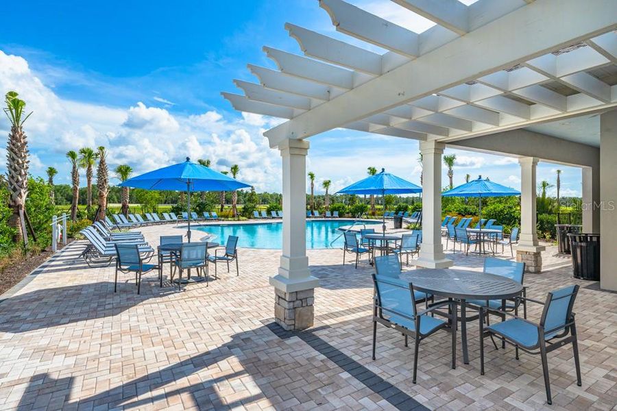 Community amenities in Palm Wind, Hudson (Image 32).