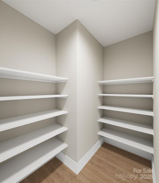Large Walk-In Pantry with Loads of Storage Space. *Virtual Rendering | Actual Finishes, Structural Selections, and Orientation May Vary.