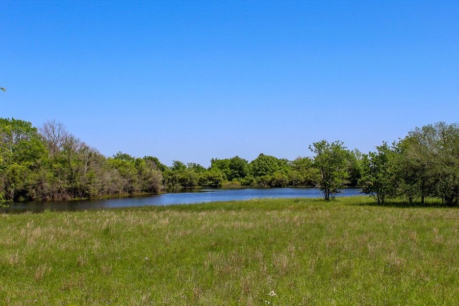 Natural landscape and outdoor views near  in College Station (Image 8).