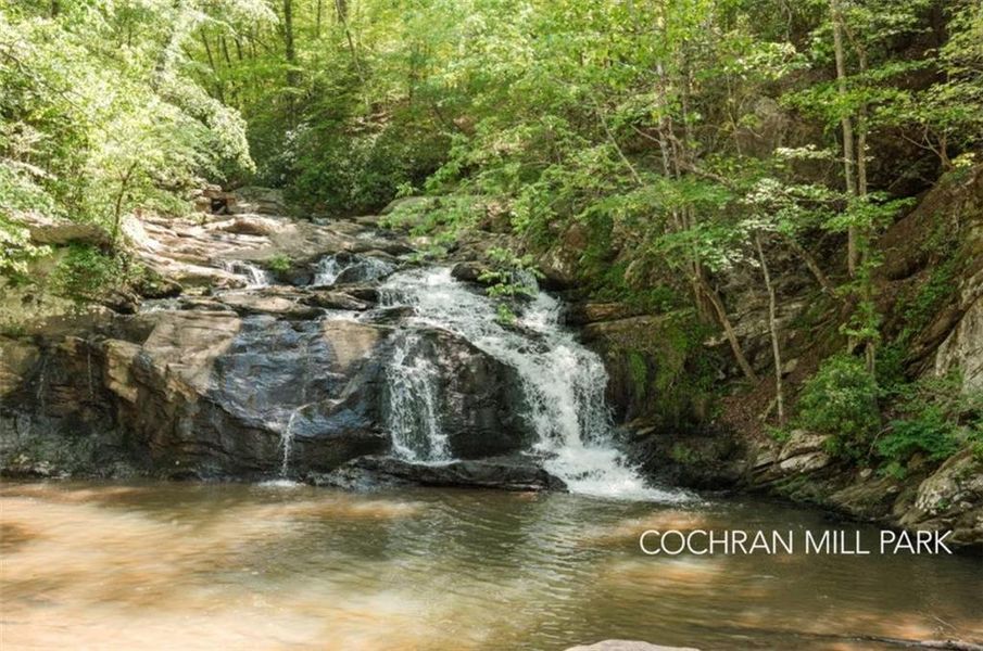 Natural landscape and outdoor views near Carolina in Palmetto (Image 5).