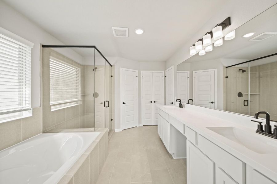 Spa-like owner's bath