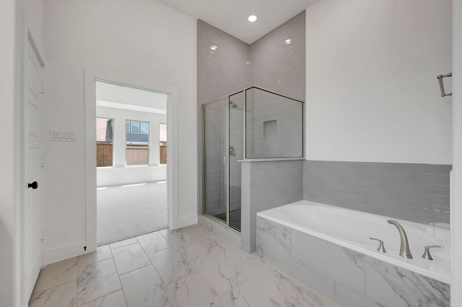 Owner's Bathroom