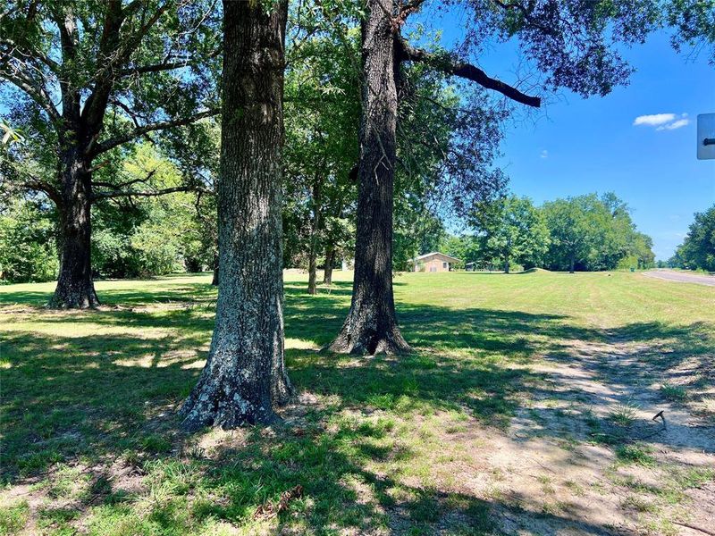 View of grassy yard with mature trees View of grassy yard with mature trees