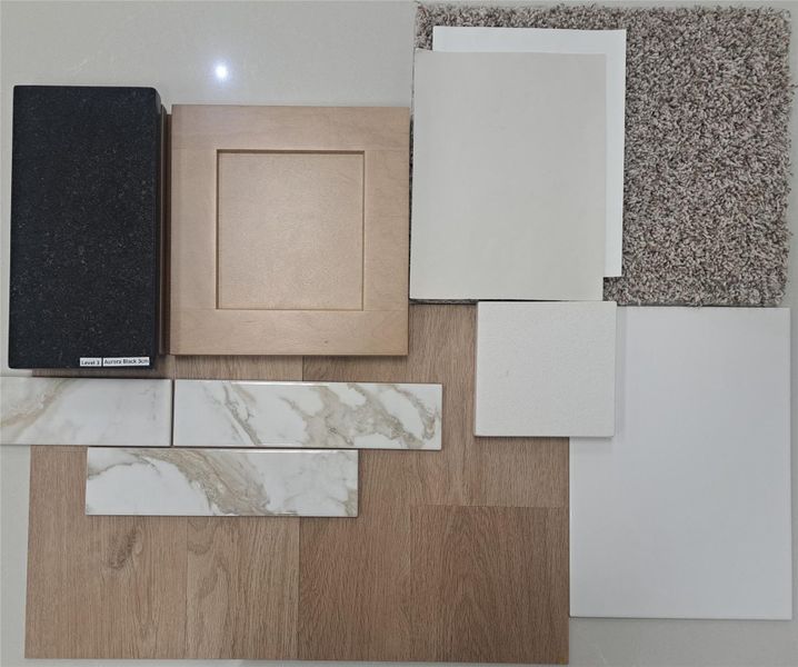 Final Interior Selections for 16874 Needlepoint Drive