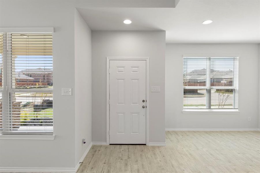 03. 3732 Honey Daisy - Entry