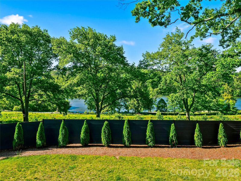 Natural landscape and outdoor views near  in Asheville (Image 42).
