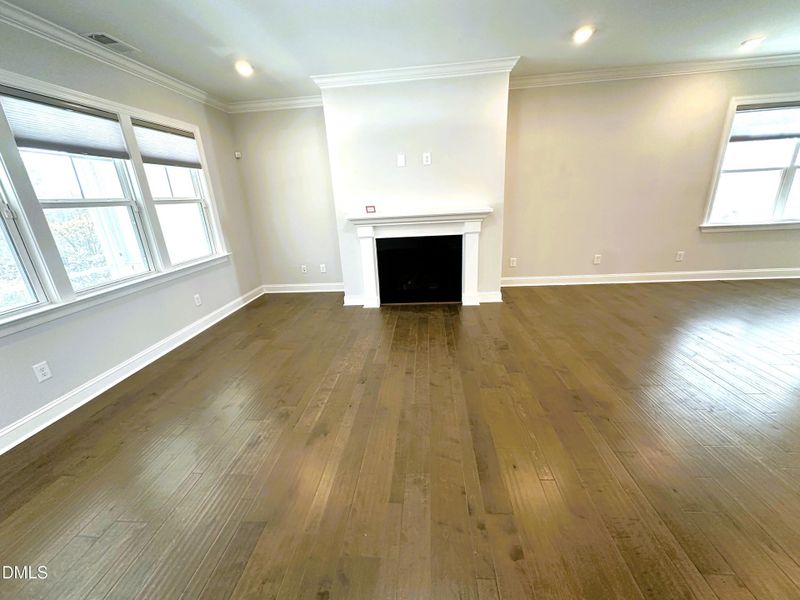 Living Area w Gas Fireplace.