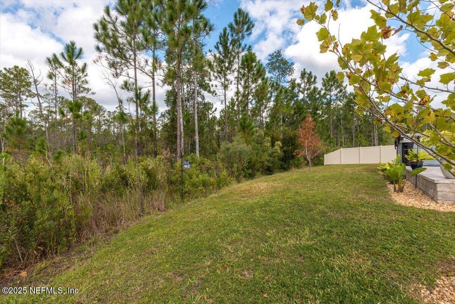 Natural landscape and outdoor views near River Glen Express in Yulee (Image 30).